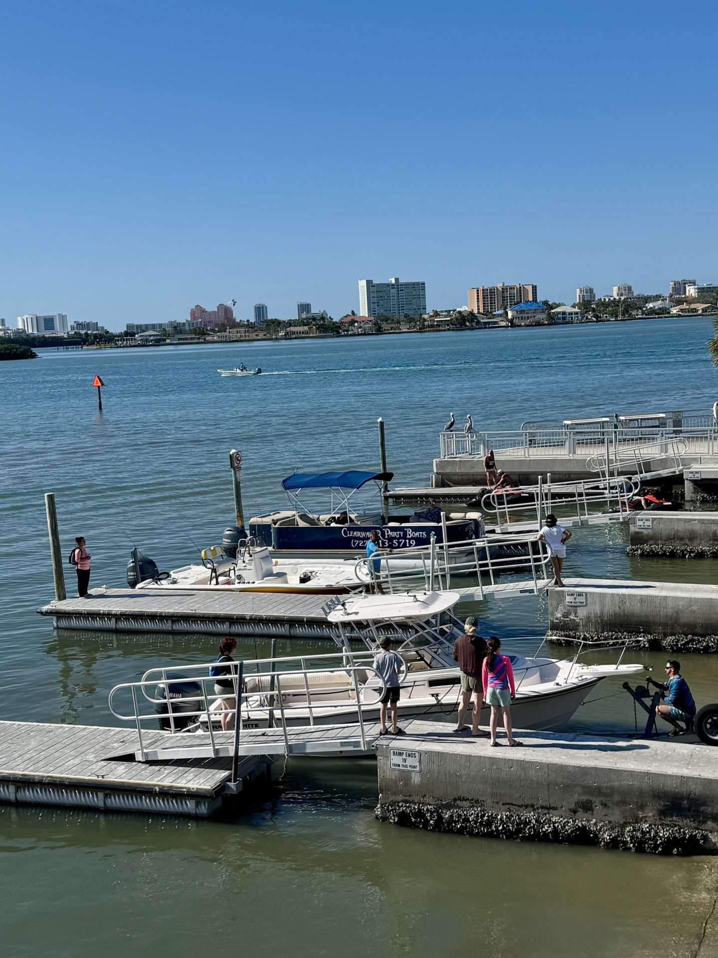 Marina and waterfront scene in Clearwater, Florida with boats docked along the pier